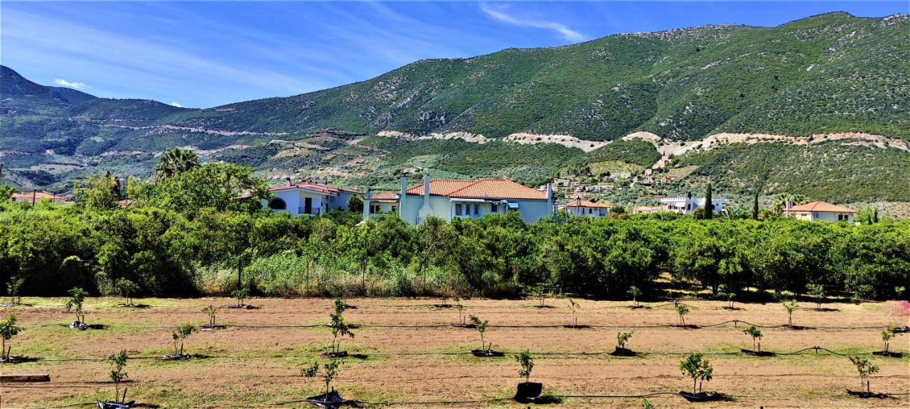 Fani'S Apartments 1 Epidaurus Ngoại thất bức ảnh